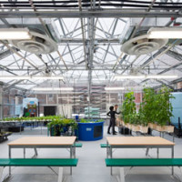 Greenhouse Lab